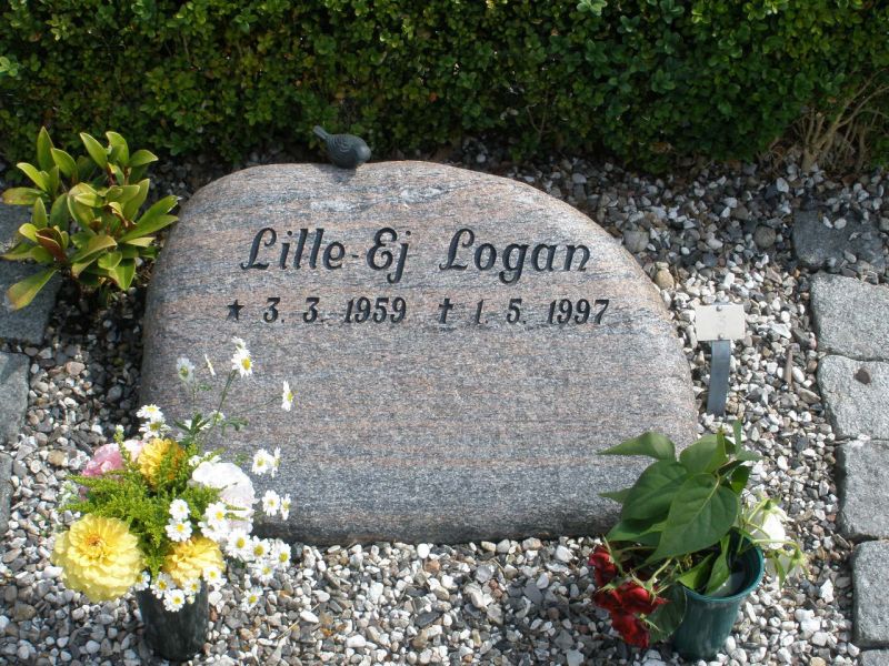 Lille-Ej Logan.JPG